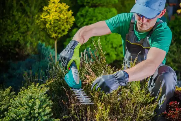 landscaping services Weldon Spring